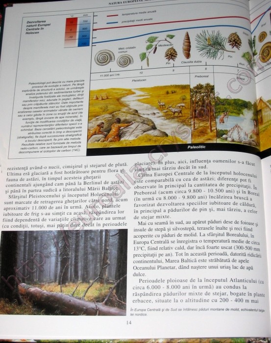 Enciclopedia naturii europene - Introducerea Natura Europei se modifică 5 - CrysSoft Euroalia