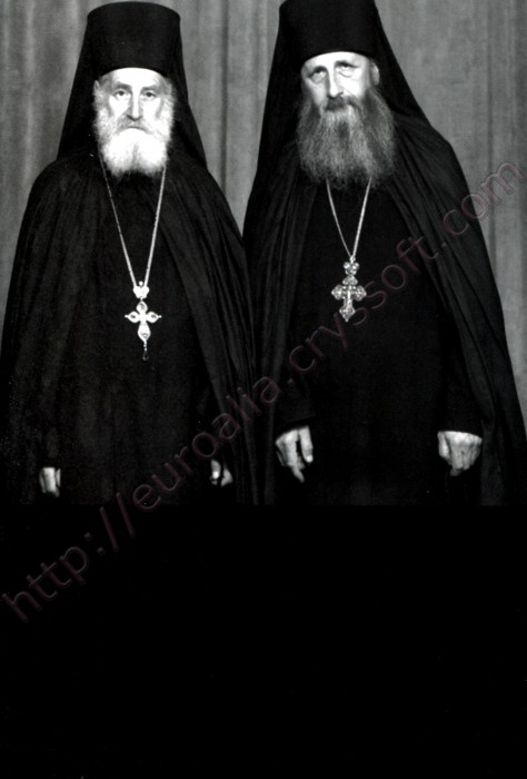 Ortodoxia și ecumenismul - Coperta spate - CrysSoft Euroalia